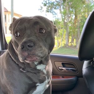 Meet your Posher, Jesse